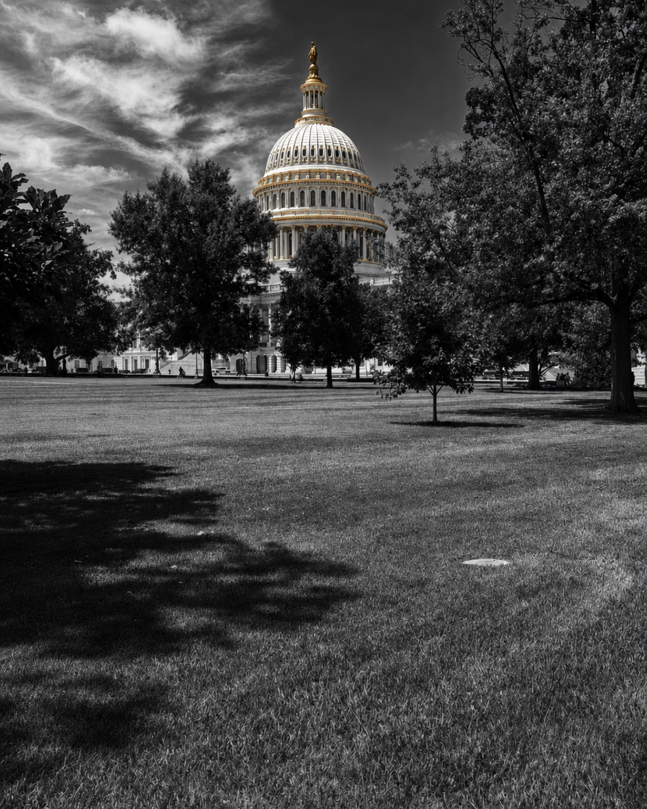 Washington D.C.