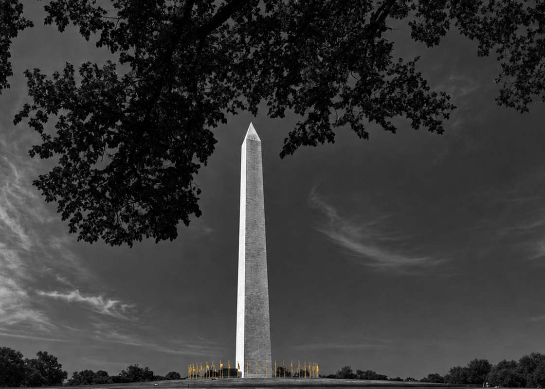 Washington D.C.
