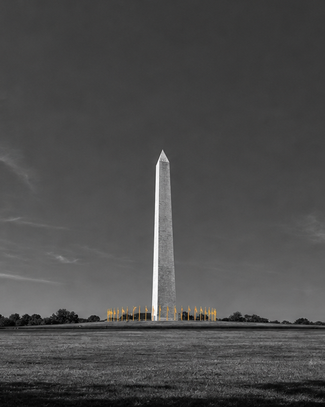 Washington D.C.